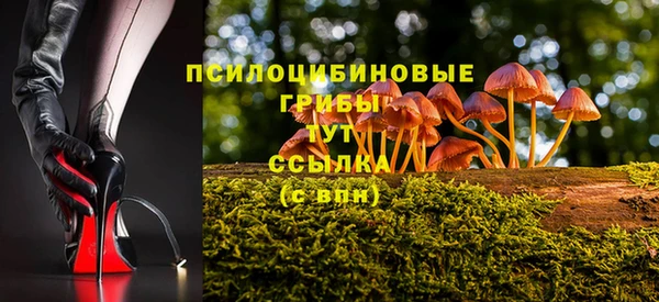 соль ск Абдулино