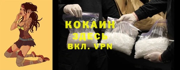 мет Новозыбков