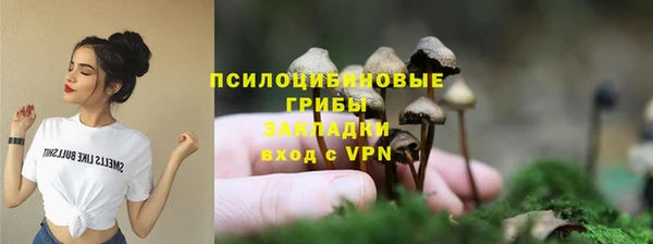 PSILOCYBIN Покачи