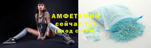 мет Новозыбков