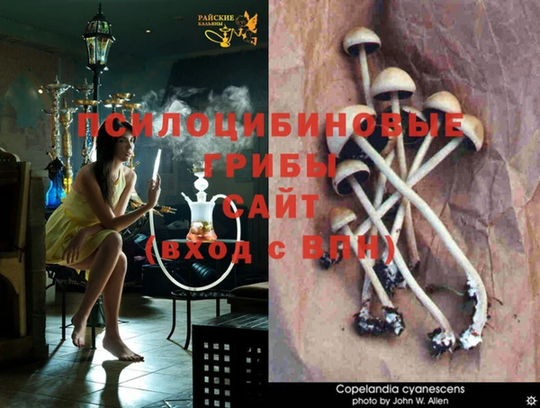 мет Новозыбков