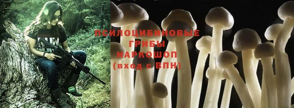 амф Абинск