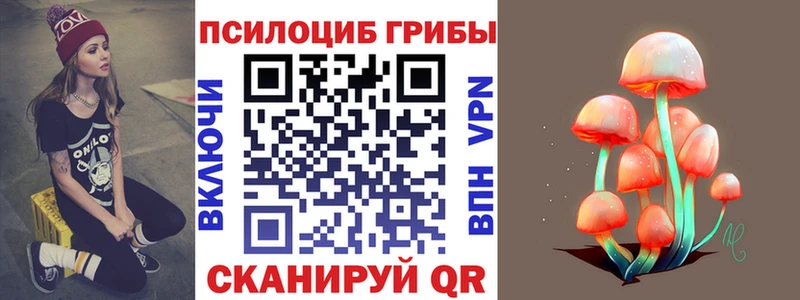 mega вход Ачинск Псилоцибиновые грибы Psilocybe купить