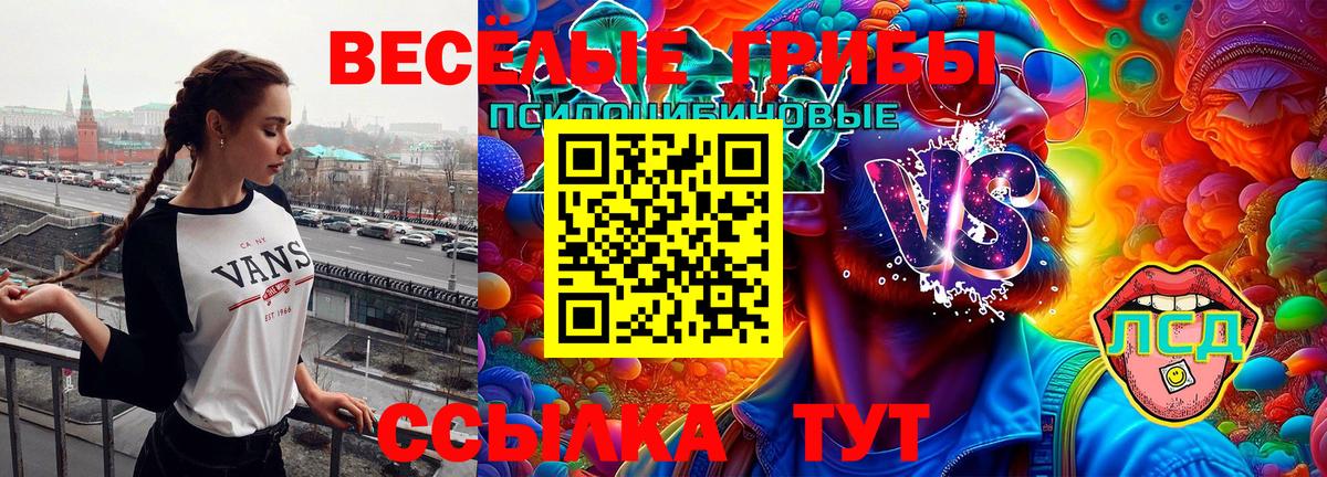 Псилоцибиновые грибы GOLDEN TEACHER  Ачинск  наркошоп  Галлюциногенные грибы Psilocybine cubensis 