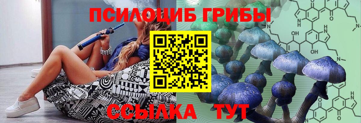 Галлюциногенные грибы Psilocybe  Вход с VPN  Ачинск 