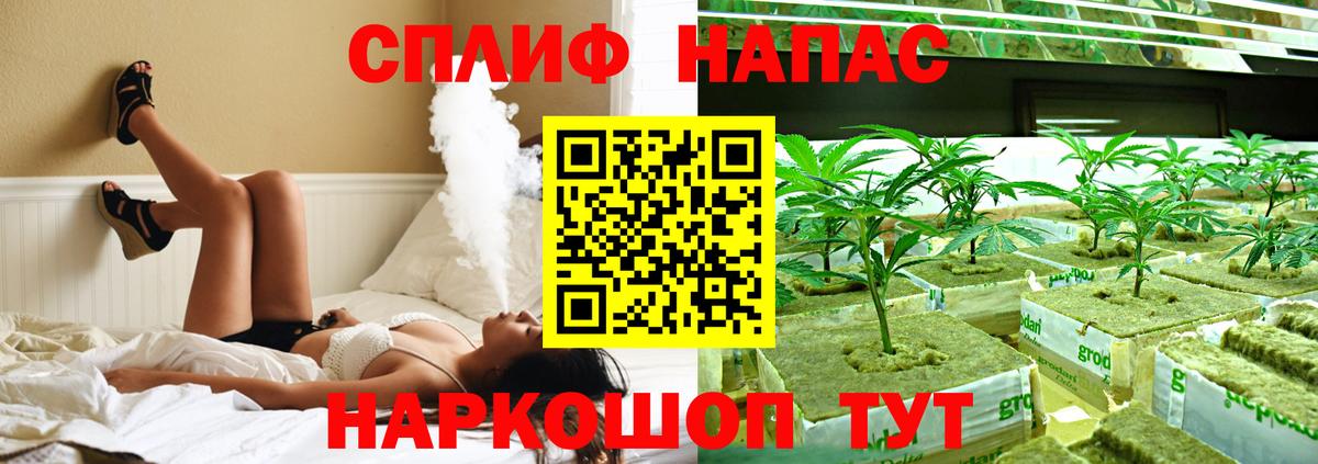 Бошки марихуана Amnesia Ачинск